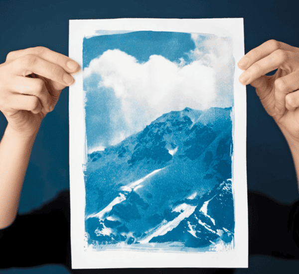 procd cyanotype ralis par Amlie Berthou