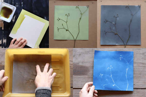 Tuto comment raliser le procd cyanotype